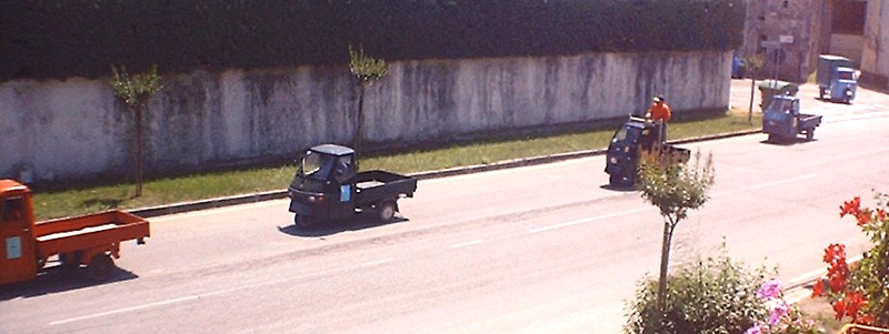 Veduta generale del corteo