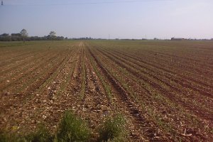 scibli al 03 maggio 2000 altra angolatura