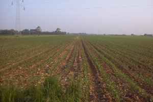 scibli al 10 maggio 2000 altra angolatura