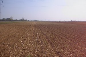 scibli al 26 aprile 2000 altra angolatura