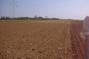 scibli al 26 aprile 2000