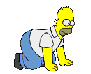 homer l'amico