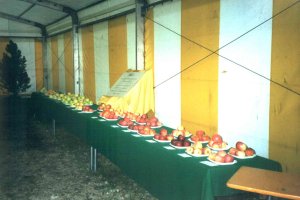 prodotti di qualit�, tendone 2